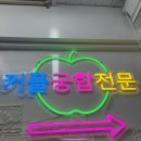 파라다이스여행사주 이미지