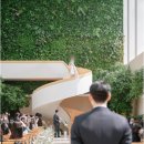 영희비어 이미지