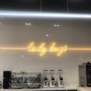 레이디벅스 이미지