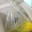 아빠농수산 | 통수산 생새우회,대한민국농수산 가리비 후기 (내돈내산!)