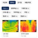 (주)에스기획 | 신축 입주 아파트, 사전 점검 절차 및 방법 공유 + 사전 점검 업체 이용 후기!