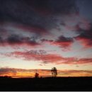 호주농장 이미지