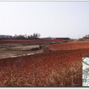 신송 목장 이미지