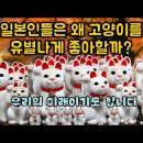 Re: 일본에서만 있는 것 (Only In Japan)＞일본인들은 왜 고양이를 유별나게 좋아할까? 이미지