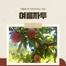 고래골농장 네이버블로그