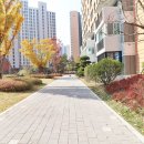 e편한세상 용인 한숲시티 3단지 이미지