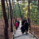 솔숲어린이집 이미지