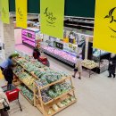 싱싱도서관 이미지