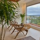 아누캄파(ANUKAMPA) 이미지