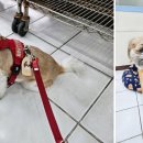 두리동물클리닉 이미지