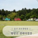 주안로 105↔주안로 117-9 | 울산 도심 속 오토캠핑장 황방산 생태 야영장 113번 후기 추천