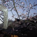 관광장여관 이미지