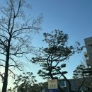 충남대학교 대학원 | 충남대학교 대학원 언어병리학과 합격 후기