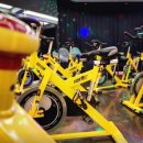 아라핏짐 이미지