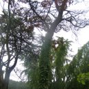 강화성산청소년수련원 이미지