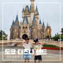 아이드림스카이게임즈 주식회사 | 도쿄 디즈니랜드 아이와 함께 DPA 40주년패스 엔트리 리퀘스트 모두 성공후기