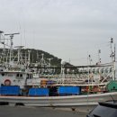 북영덕농협 축산항지점 이미지