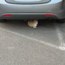 정다운노래방 | 걸어본 길이 꼭 능사는 아닙니다