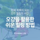 힐링아트 향초 | 진짜 회복이 되는 감각 힐링, 집에서도 쉽게 실천하는 방법