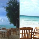 박혜정농장 이미지