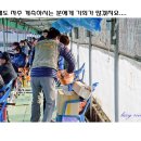 배다리낚시터 이미지