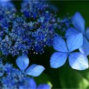 탑동 관광안내소 이미지