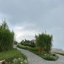 에콜로지 | 할인 받기 ! 베트남 사파 끝판왕 호텔 토파즈 에콜로지(Topas ecolodge) 에서 여름휴가 💛😁⭐싸파여행