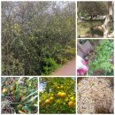 십년농장 이미지