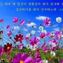 사랑은 인생을 살아가는 단 하나의 목적이다 이미지