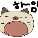 합천실내수영장 이미지