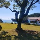 도산일주로 이미지