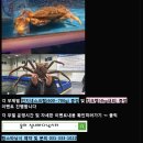 물어실내바다낚시터 네이버블로그