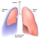 린동물병원 이미지