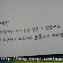 꿈꾸는솜사탕