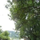 설악면 묵안1리 경로당 | 가평군 설악면 묵안리 초롱이마을 둘레길