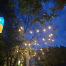 한국민속촌박물관 | 용인 한국민속촌 다녀온 후기, 여기 왜 인기 많지??