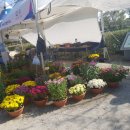 서동공원 향토음식특화거리 이미지