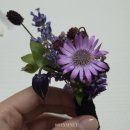 남산블루베리 태양광발전소 | 무이스튜디오 남산점 오전 B타입 6월 웨딩촬영 후기 (w. 김제성 작가님 / 헤어변형 아영 / 가든에이)