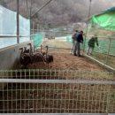 타조사육장 이미지