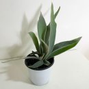 베스토어 이미지