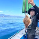 속초바다회 이미지