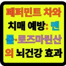 뇌건강, 건강차 이미지