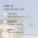 고요한숲