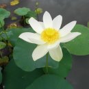 내린천공원 이미지