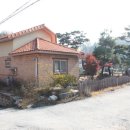 소나무 풍경 이미지