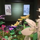 울산암각화박물관 이미지