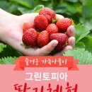그린토피아 이미지