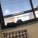 중앙가정의학과의원 이미지