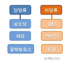 탄수화물 종류 (단당류, 이당류, 다당류) 하루 탄수화물섭취량 이미지