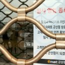 부천남초등학교2 이미지